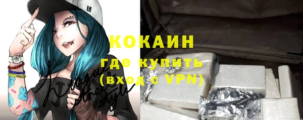 сатива Елизово