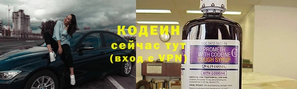 PSILOCYBIN Заводоуковск