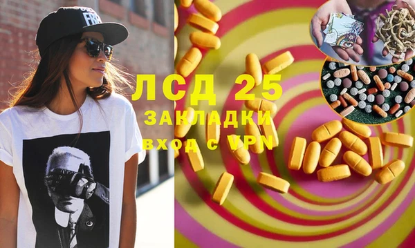 соль ск Вяземский