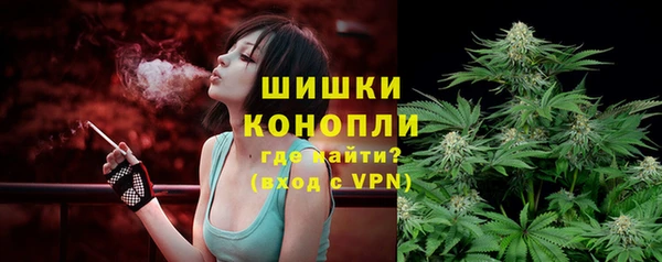 соль ск Вяземский