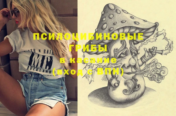 амф Вязьма