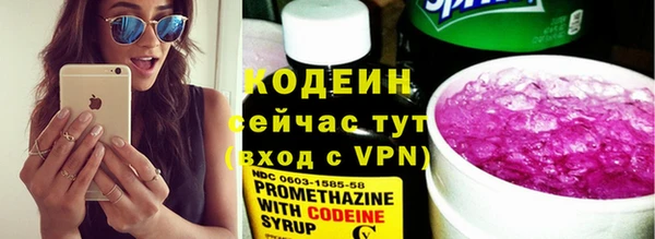 сатива Елизово