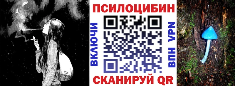 Купить  Кемь  Псилоцибиновые грибы ЛСД 